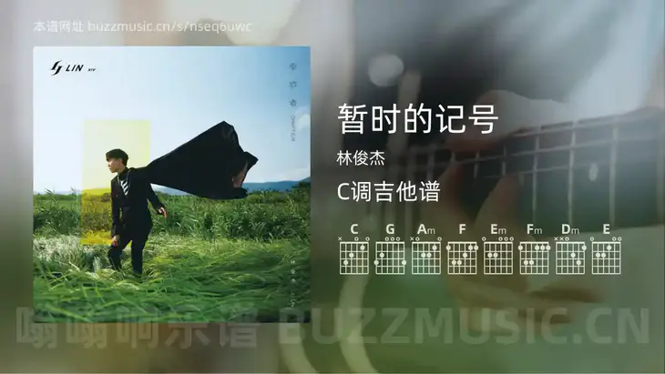 暂时的记号吉他谱C调 林俊杰 简单版