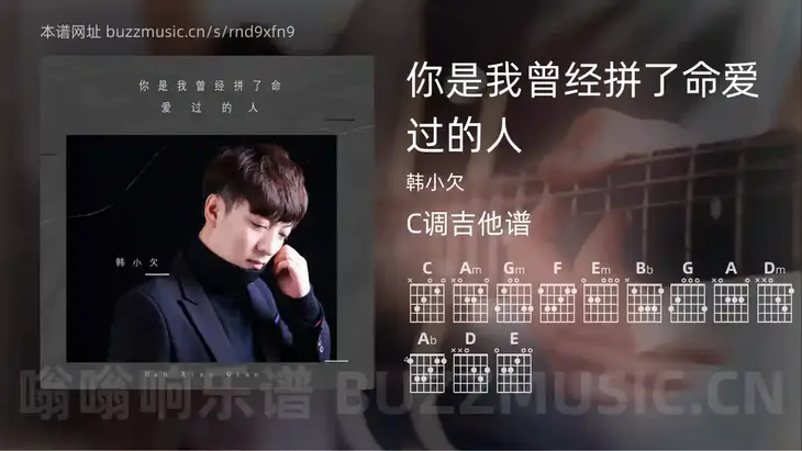 你是我曾经拼了命爱过的人 韩小欠 吉他谱C调简单版