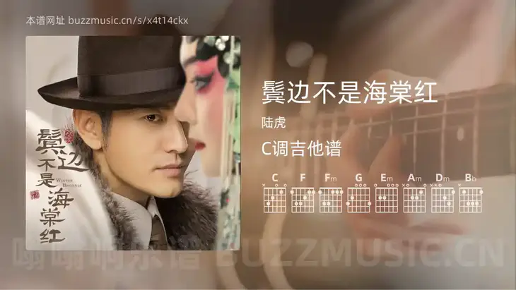 鬓边不是海棠红 陆虎 吉他谱C调简单版