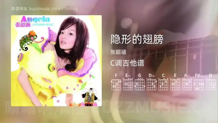 隐形的翅膀 张韶涵 吉他谱C调简单版