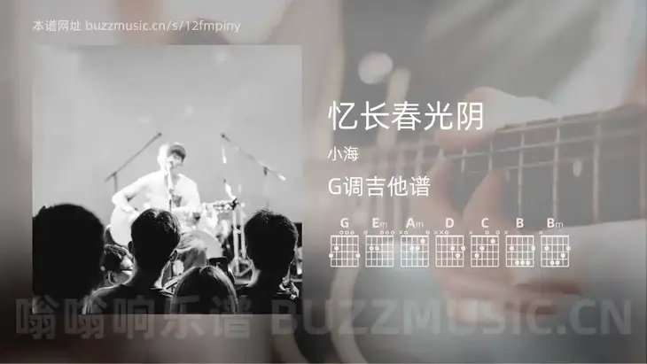 忆长春光阴 小海 吉他谱G调简单版