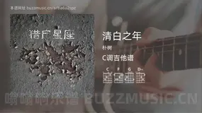 清白之年 朴树 吉他谱C调简单版