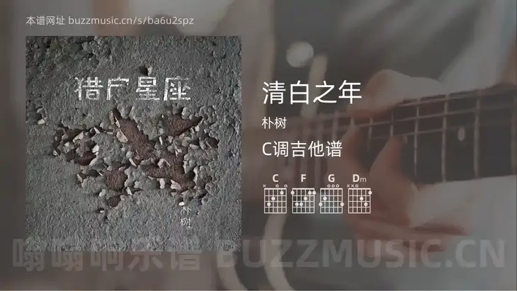 清白之年 朴树 吉他谱C调简单版