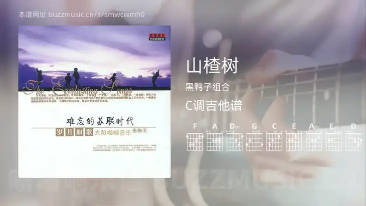 山楂树吉他谱C调 黑鸭子组合 简单版