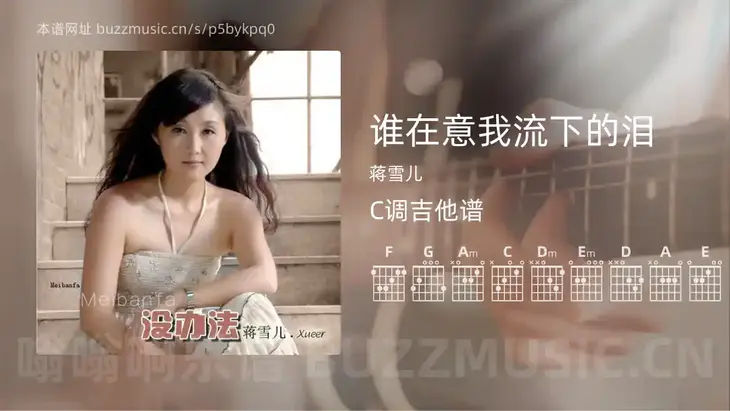 谁在意我流下的泪 蒋雪儿 吉他谱C调简单版