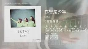 你曾是少年 S.H.E 吉他谱C调简单版
