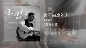 言不由衷的人 海来阿木 吉他谱G调简单版