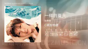 一样的夏天吉他谱C调 孙燕姿 简单版