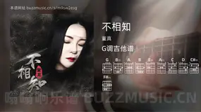 不相知吉他谱G调 董真 简单版