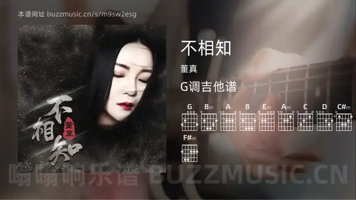 不相知吉他谱G调 董真 简单版