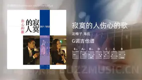 寂寞的人伤心的歌 龙梅子,海彪 吉他谱G调简单版