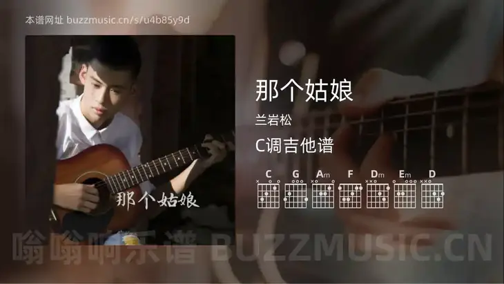 那个姑娘 兰岩松 吉他谱C调简单版