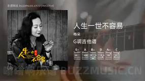 人生一世不容易 梅朵 吉他谱G调简单版