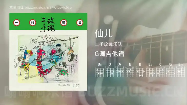 仙儿 二手玫瑰乐队 吉他谱G调简单版