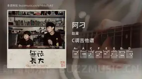 阿刁吉他谱C调 赵雷 简单版