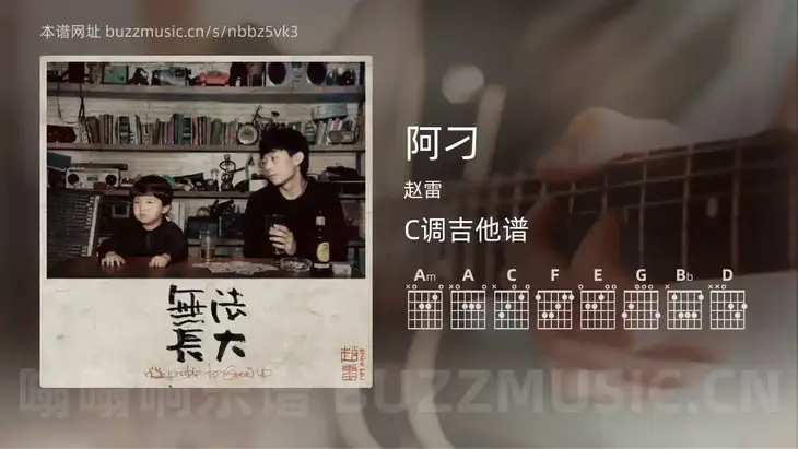 阿刁吉他谱C调 赵雷 简单版