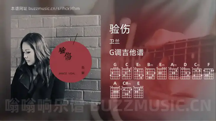 验伤吉他谱G调 卫兰 简单版