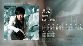 月光 胡彦斌 吉他谱C调简单版