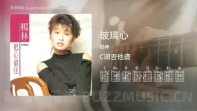 玻璃心吉他谱C调 杨林 简单版