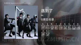 遇到了 Mr. 吉他谱G调简单版