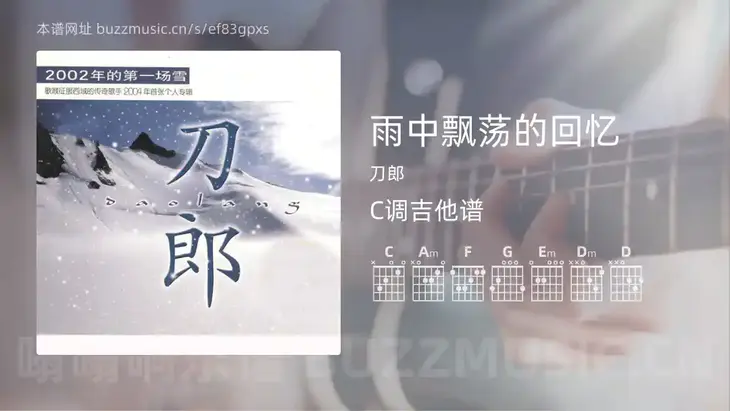 雨中飘荡的回忆 刀郎 吉他谱C调简单版