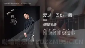 爱过一回伤一回 易欣 吉他谱G调简单版