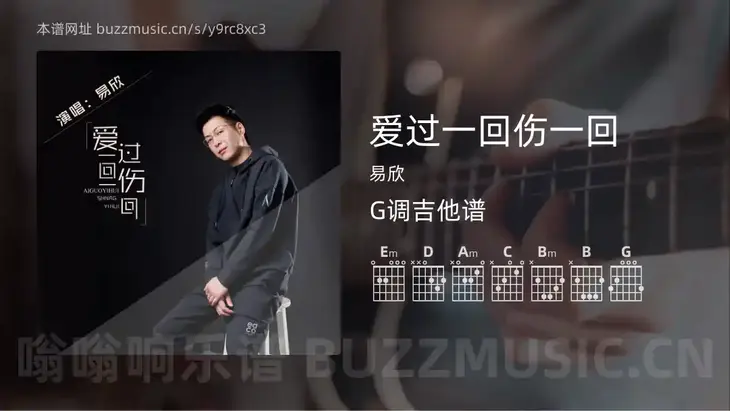 爱过一回伤一回 易欣 吉他谱G调简单版