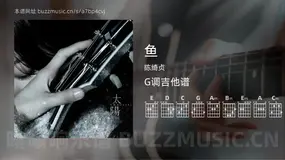 鱼 陈绮贞 吉他谱G调简单版