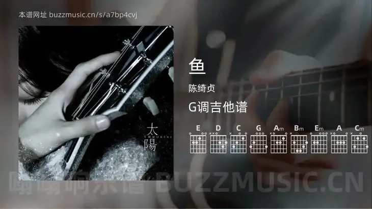 鱼 陈绮贞 吉他谱G调简单版