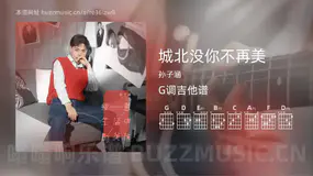 城北没你不再美吉他谱G调 孙子涵 简单版