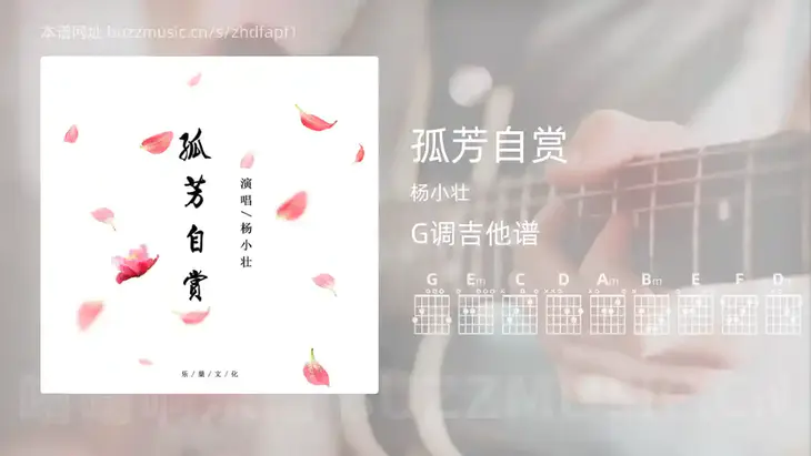 孤芳自赏吉他谱G调 杨小壮 简单版