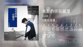 亲爱的你在哪里 王小帅 吉他谱G调简单版