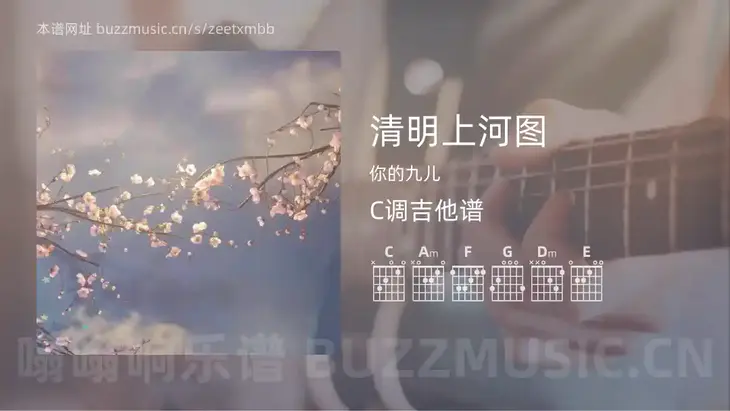 清明上河图吉他谱C调 你的九儿 简单版