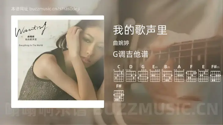 我的歌声里 曲婉婷 吉他谱G调简单版
