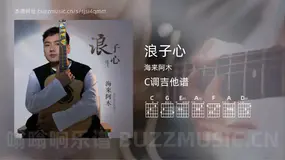 浪子心 海来阿木 吉他谱C调简单版