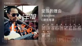 坚强的理由 王旭(旭日阳刚) 吉他谱C调简单版