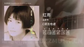 红雨吉他谱C调 孟庭苇 简单版