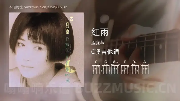 红雨吉他谱C调 孟庭苇 简单版