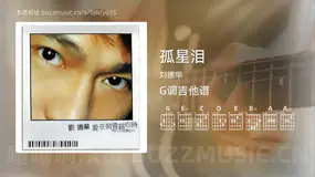 孤星泪 刘德华 吉他谱G调简单版