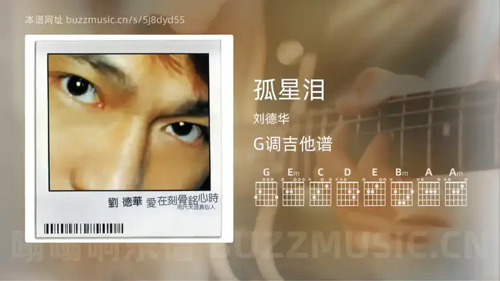 孤星泪 刘德华 吉他谱G调简单版