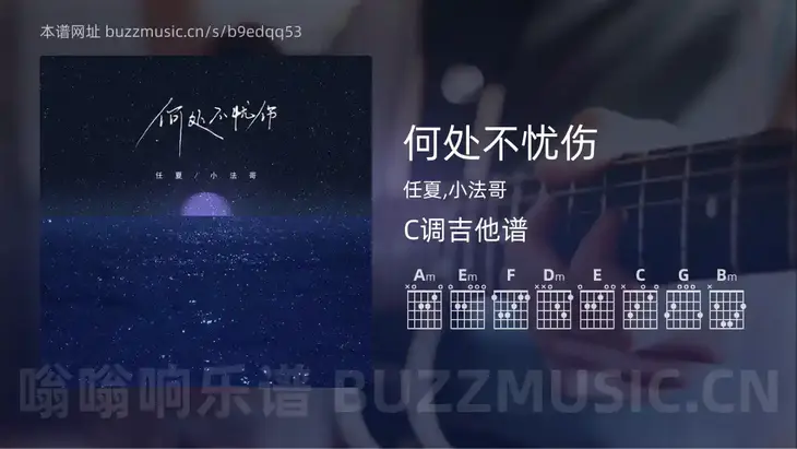 何处不忧伤 任夏,小法哥 吉他谱C调简单版
