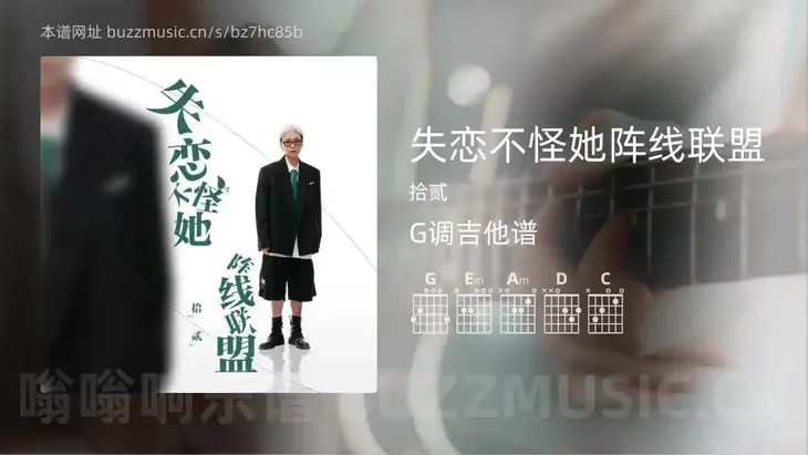 失恋不怪她阵线联盟 拾贰 吉他谱G调简单版