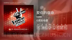 爱你的宿命 张碧晨 吉他谱G调简单版
