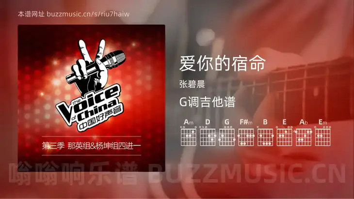 爱你的宿命 张碧晨 吉他谱G调简单版
