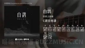 白鸽 你的上好佳 吉他谱C调简单版