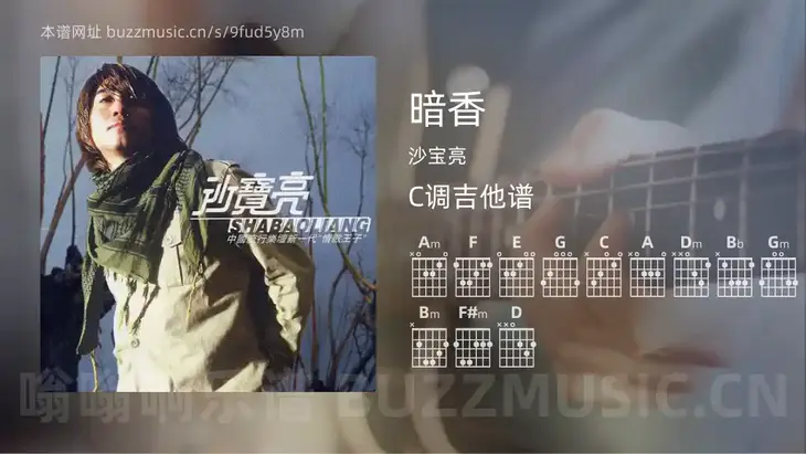 暗香 沙宝亮 吉他谱C调简单版
