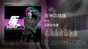 左半边翅膀 许飞 吉他谱G调简单版