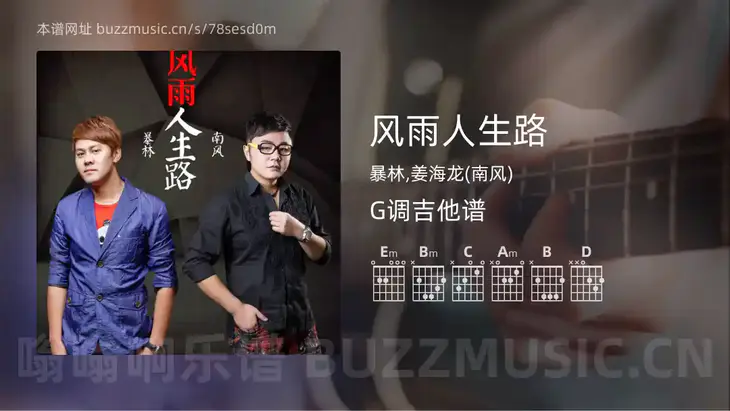 风雨人生路 暴林,姜海龙(南风) 吉他谱G调简单版