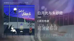 白月光与朱砂痣 大籽 吉他谱C调简单版