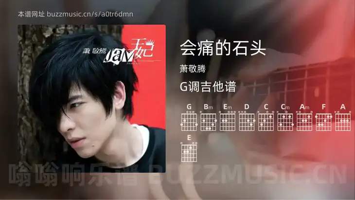 会痛的石头 萧敬腾 吉他谱G调简单版